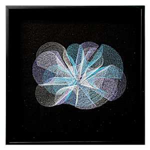 Bioluminescence 6