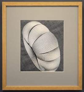 Cushion Torus
