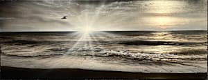Satin waves peaceful flight