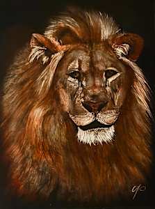 The King for now