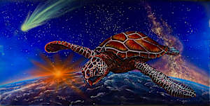 Landing pad celestial turtle