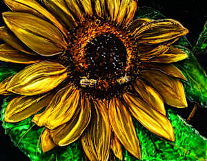 2 Bee in Love.