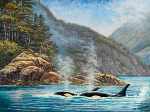 Orca Mist