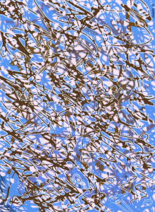 Abstract #70