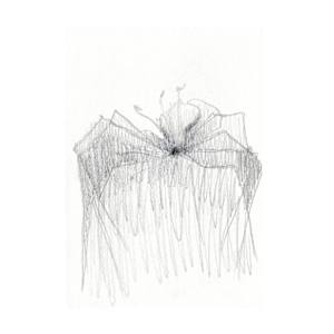 2025 Sketchbook Spiders 6