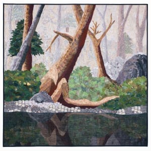 Deep Woods Reflection