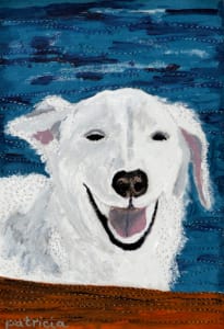 Nala and Tusker - donation postcards