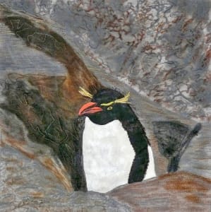 Rockhopper