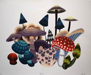 Honguitos