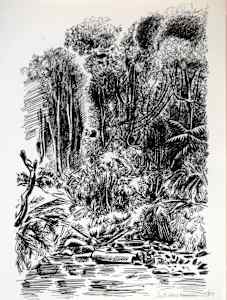 Jungle