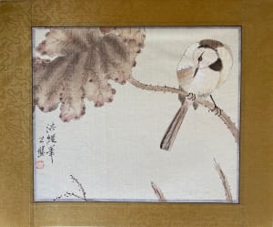 Wagtails and Lotus