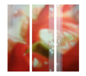 The Space Between triptych 17