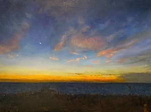 Venus Awaken