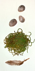Nesting Series #4