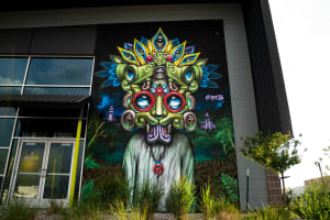 Native Symbology
