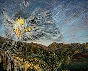 An Eagle's Perspective