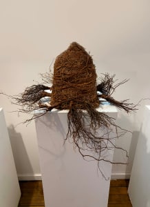 Root Home  (House #2)