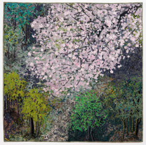 Cherry Blossoms