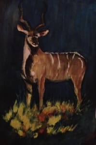Kudu Watch