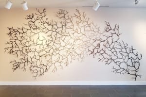 Ebb and Flow IX: Nashua River