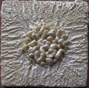 Pearls Forming in the Matrix