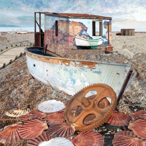 Seascape 63 | Shells