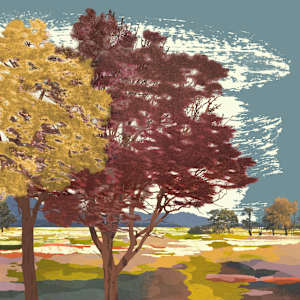 Treescape 14 | Shadow Trees