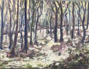 Woods in the Snow