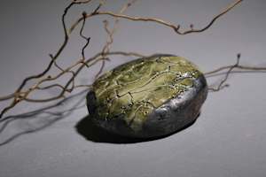 Lichen