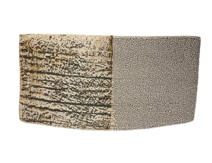 Lichen/White Wedge (2)