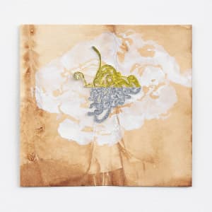 Cotton Boll & Sea Fern