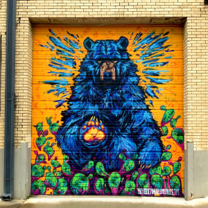 Ursa Manos