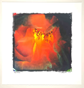The Flame - La Fiamma