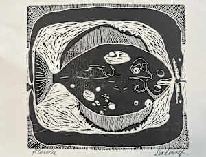 Flounder #6