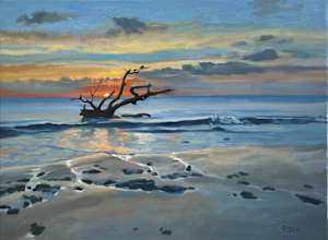 Dawn at Jekyll Island’s Driftwood Beach