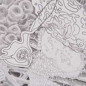 Systems Thought VII