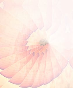 Of Bots, Drones and other Invasive Species  |  Series 2 -2