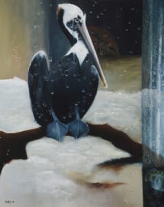 Pelican: Who's Lookin At Who?