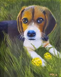 Adorable Puppy In The Grass