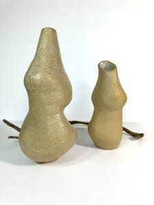 Organic vases