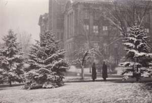Untitled (Winter)