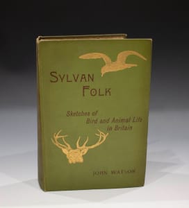 Sylvan Folk: Sketches of Bird and Animal Life in Britain