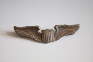 Wings