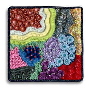 25056   PC-Beneath the Sea-1