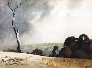 The Dead Tree