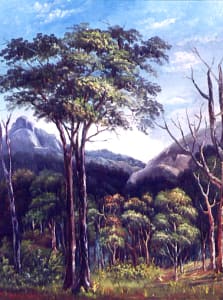 Millinup Pass, Porongurups W.A.