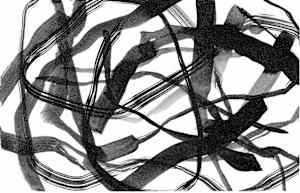 Rhythm of Language i print unframed