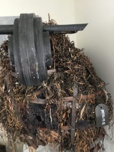 Kelp Sheep, place based conceptual sculpture