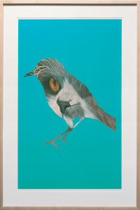 Cat and Bird