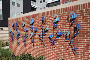 Blue Flowers